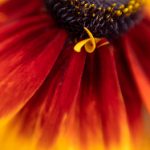 CCTV一4中文国际频道高清直播在线观看 3dcp8amkwr