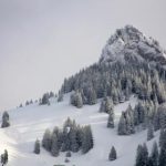 金帝品牌背后的故事:从创立到辉煌的历程揭秘 3w06l0k