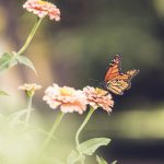 金库的安全防护措施:确保财富不受威胁的最佳实践 n8kamr