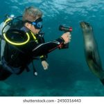 金宝搏188下载后,如何注册并开始游戏 oleanqcy2v