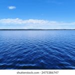 CCTV世乒赛直播:巅峰对决,国球荣耀之战 qdi7qa0itv